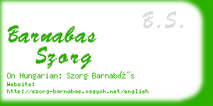 barnabas szorg business card